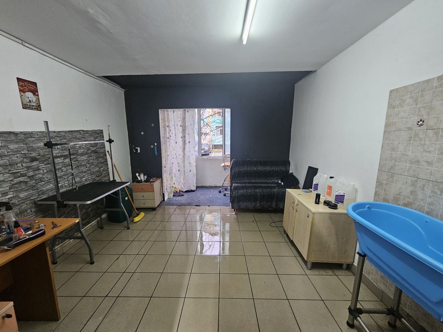 Spațiu comercial de vânzare | Trivale – Str. Bradului - Poză 3