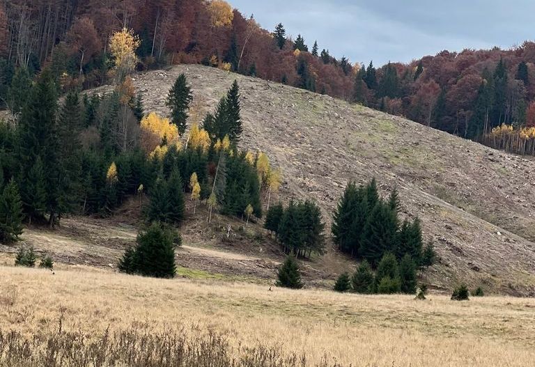 Agentia Licarom propune la vanzare teren 2,83 ha Poiana  Brasov - Poză 1