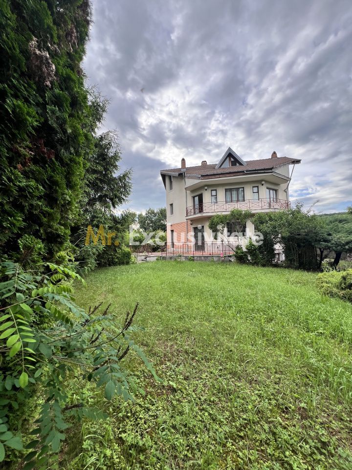 Acasă la Bascov- Județ Arges cu peisaj de poveste - Poză 23
