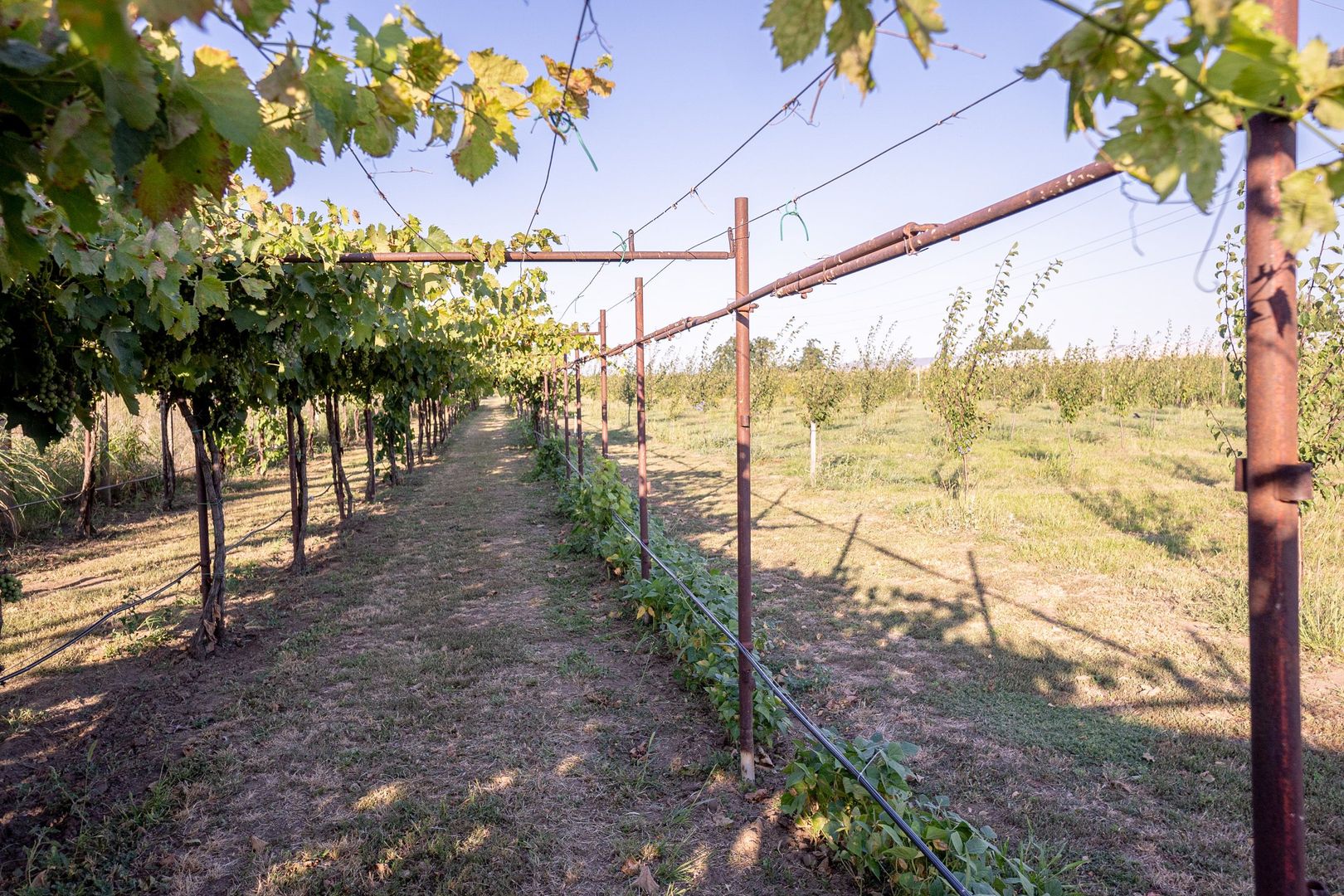 Casă de vânzare Furceni – 7 camere, teren 8.000 m - Poză 27