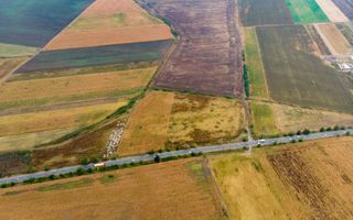 Teren de 19798mp în Zimandu Nou - Poză 6