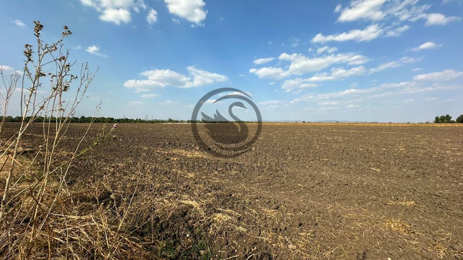 Teren extravilan de vanzare | 9882mp | Berceni - Prahova | Comision 0% - Poză 7