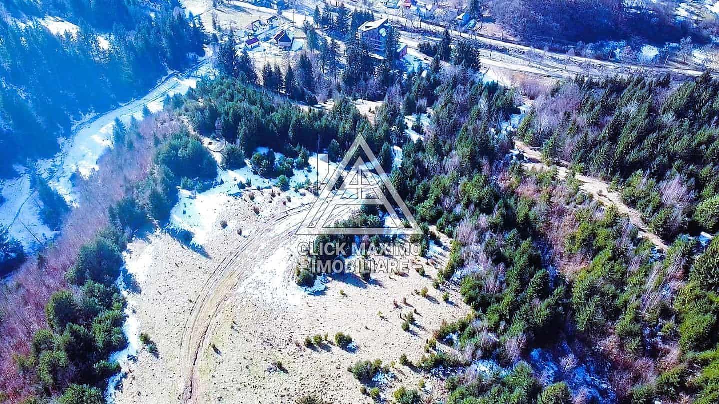 Teren 8 ha cu 15 izvoare minerale, lângă Câmpulung Argeș - Poză 3