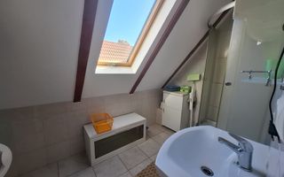 De închiriat apartament 1 cameră – Turnișor, Sibiu - Poză 8