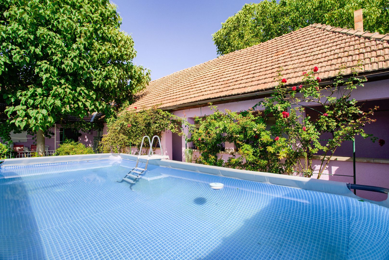 Casa de vanzare in Bodrogu Nou, COMISION 0 - Poză 13