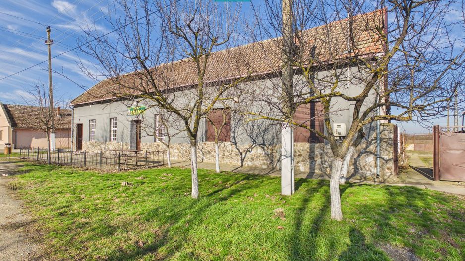 Spațiu comercial de 225 mp în Satu Mare - Poză 2