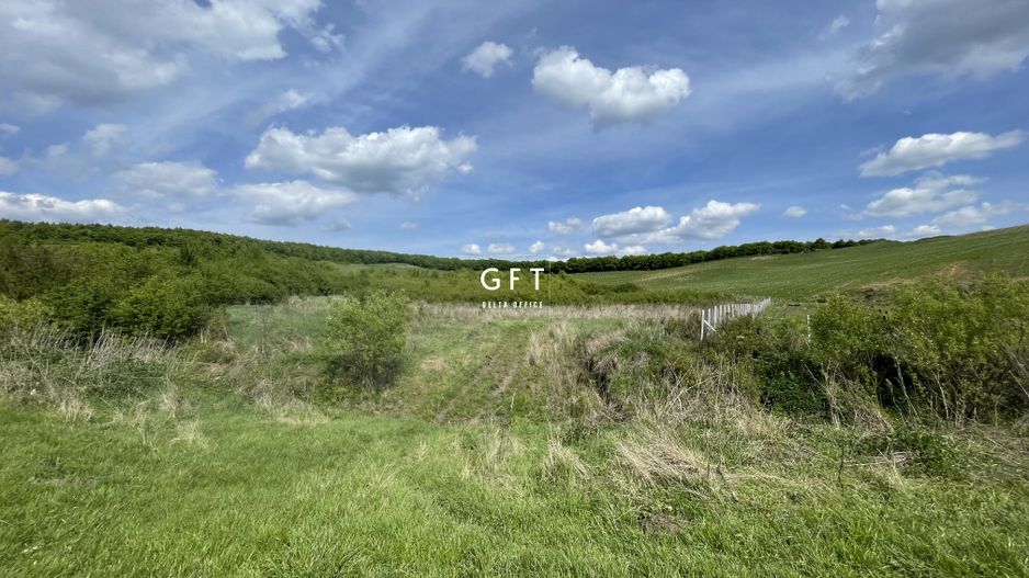 Teren extravilan 10000 mp, Jelna. - Poză 7