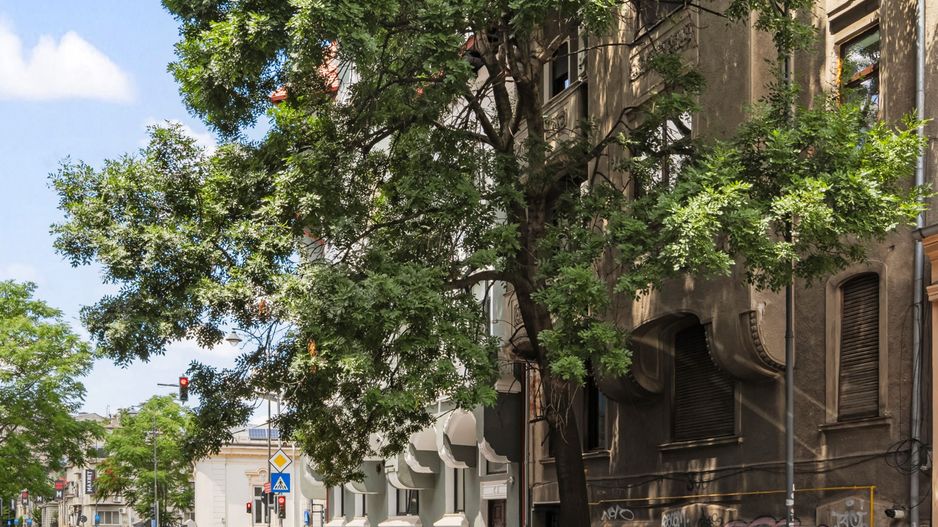 APARTAMENT 4 CAMERE ULTRACENTRAL - Poză 21