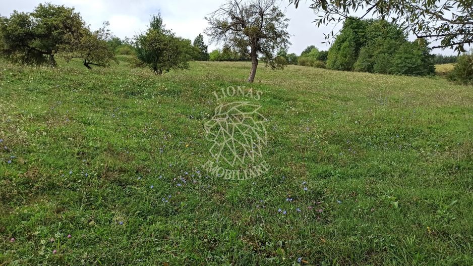 Teren intravilan 12600 mp-utilitati-ideal case, investitie-Livezile - Poză 2