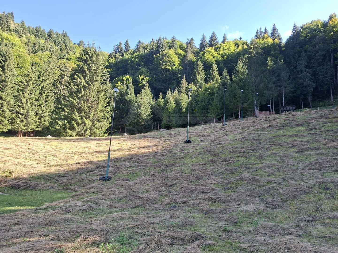 Teren intravilan la munte - Poză 8