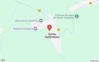 Persoană fizică vind teren 2400 mp, lingă mănăstirea hadimbu. - Poză 1