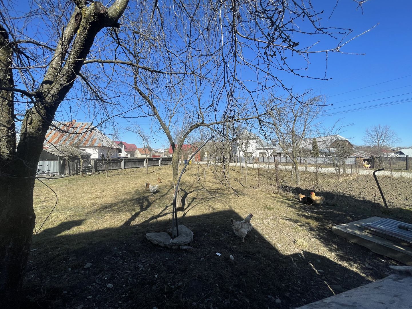 CASA RENOVATA + TEREN 3100 MP | CURTE SI GRADINA | FRATAUTII NOI - Poză 21