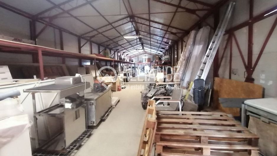 DELFINARIU (COD10) - Spatiu productie/Hala/ Depozit de inchiriat - Poză 7