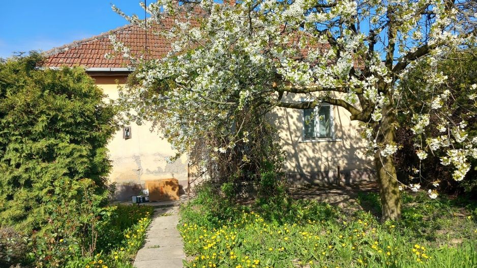 Ag EUROPA vinde casa cu 4 camere si teren de 60 ari in Ambud. - Poză 4