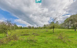 Casă cu teren de 17.681 mp, în loc. Hălmăgel, Arad - Poză 12