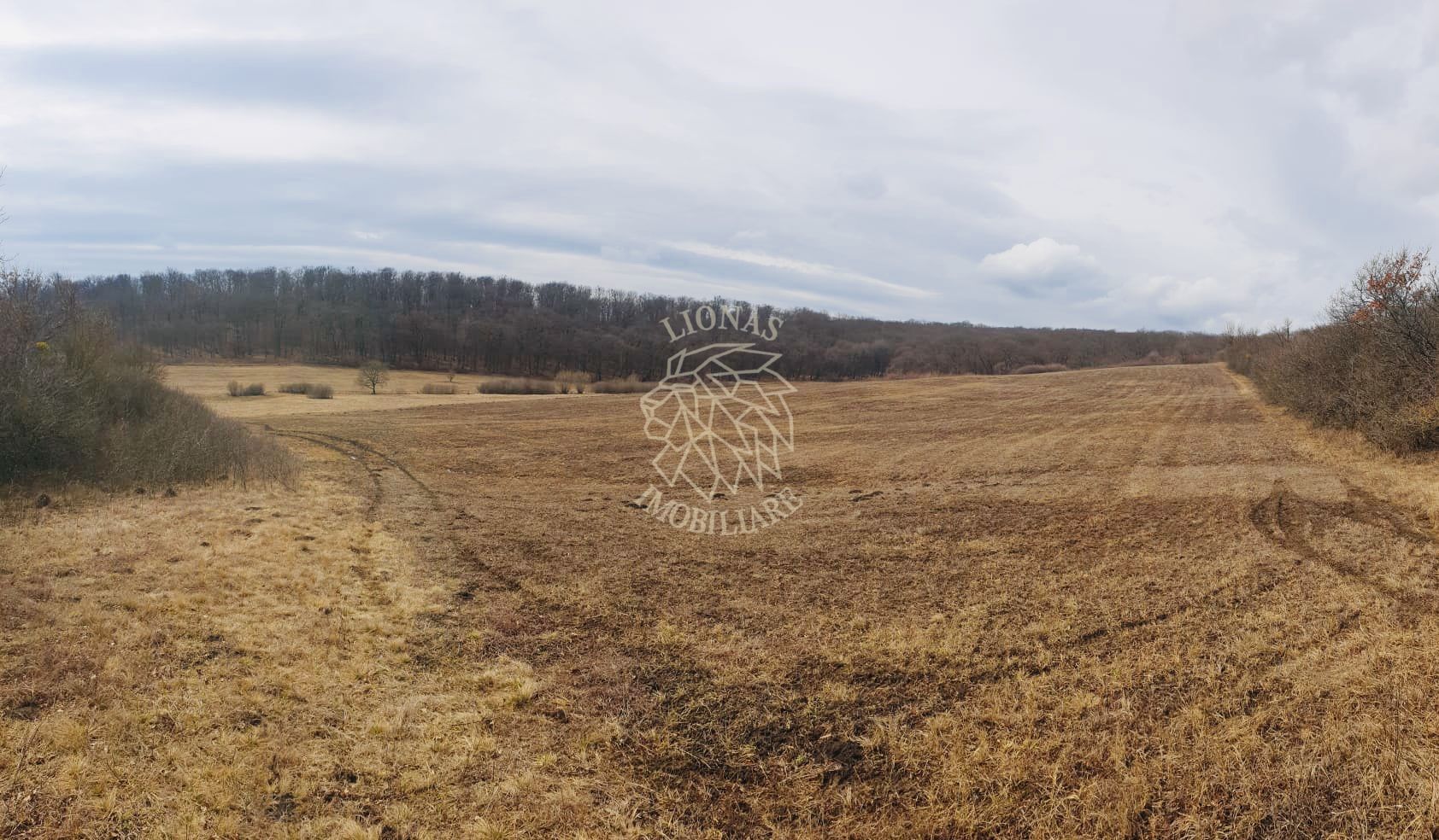 Teren 104,731 mp-Parcelabil-Vedere panoramica-Valea Castailor - Poză 1