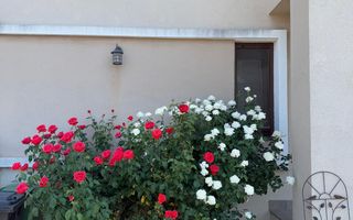 Duplex spatios - complet mobilat -  Dumbravita - Poză 10