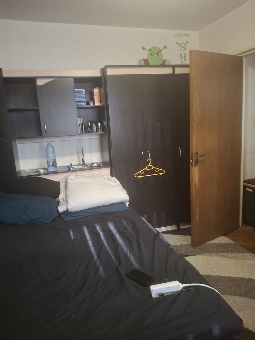 Vanzare apartament 2 camere Titan -Camil Ressu, Park Lake - Poză 1