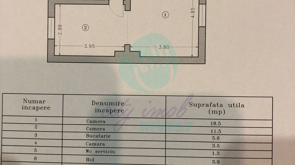 Vila boema in VATRA LUMINOASA - Poză 18