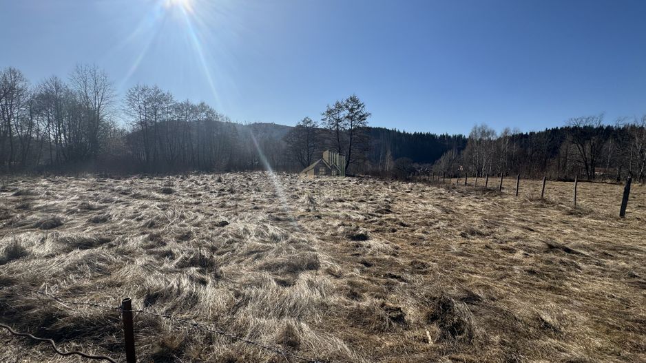 TEREN INTRAVILAN 5000MP, LERESTI, ARGES - Poză 5