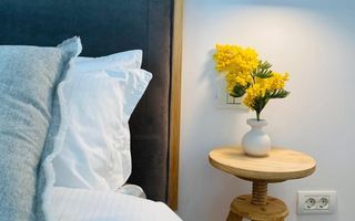 Închiriere apartament 2 camere in bloc boutique Dacia- gradina Icoane - Poză 6