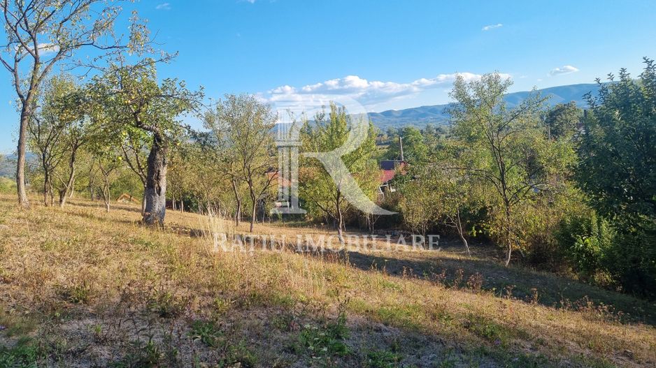 Casă renovata cu teren generos | Anexe | Gurasada | Hunedoara - Poză 41
