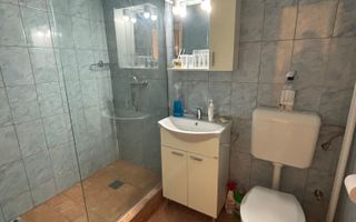 Apartament 1 camera la 10 minute de Iulius Mall - Poză 9