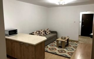 Apartament 1 camera, 30 mp, recent renovat, zona Profi - Poză 2