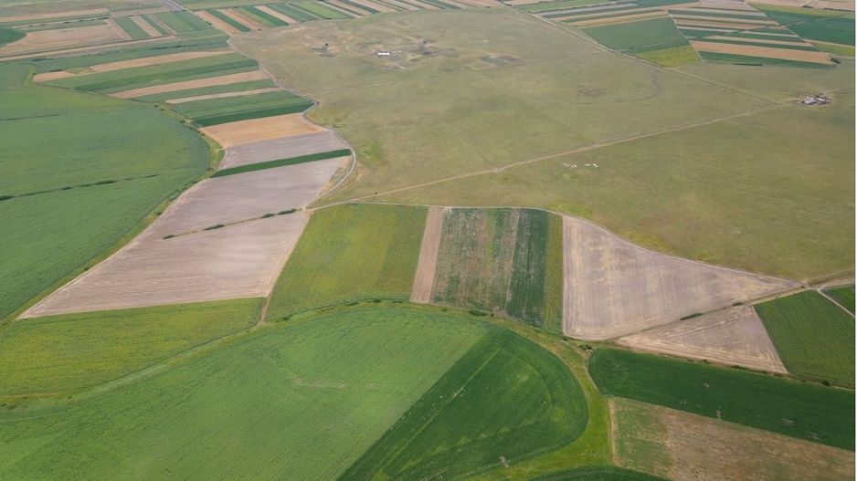 Teren extravilan în Sânnicolau Mare 14.6 ha - Poză 3