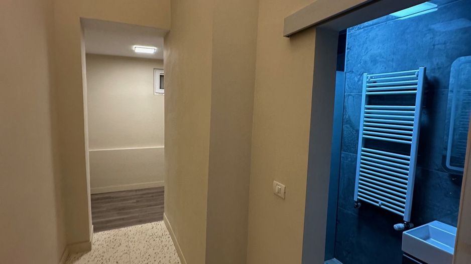 Casa Lipovei transformata in SAD - Poză 11