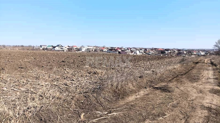 Teren Agricol de Vânzare - 162 Ari în or. Singera, Extravilan 🌿 - Poză 3