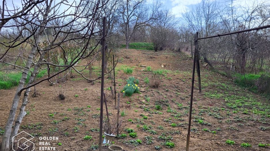 Casa in localitatea Lipova - Poză 3