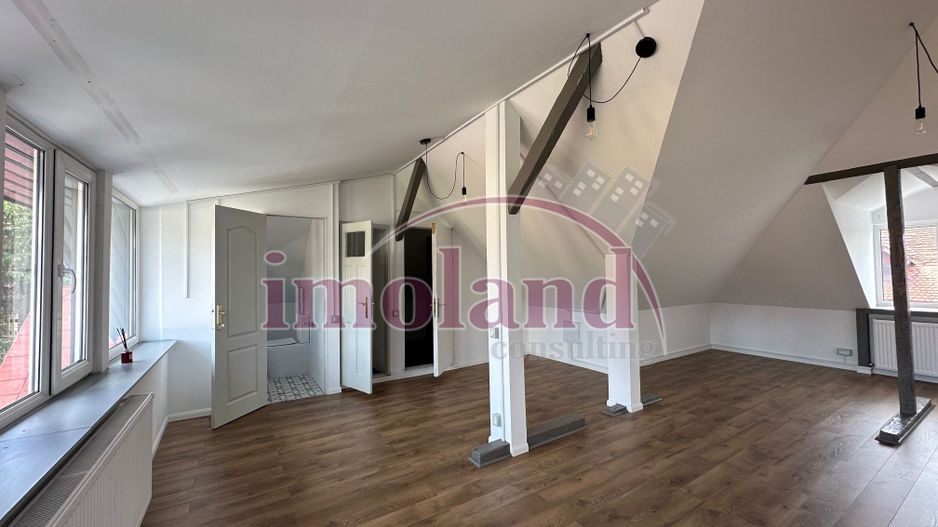 Floreasca - Chirie Casa cu Curte - Office/Comercial/Rezidential - Poză 15