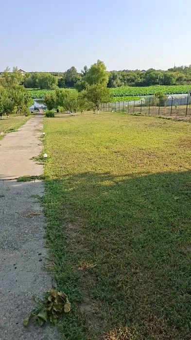 Casa de inchiriat | Snagov | acces direct la lac | ponton propriu - Poză 14