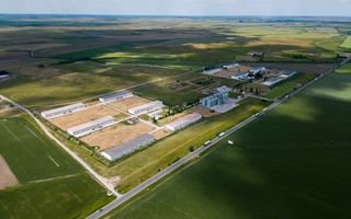 Teren Intravilan Investiții 11.600 mp Salonta - Poză 6