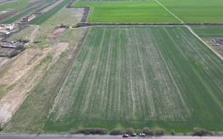 Teren intravilan servicii si depozitare | Freidorf - Poză 5