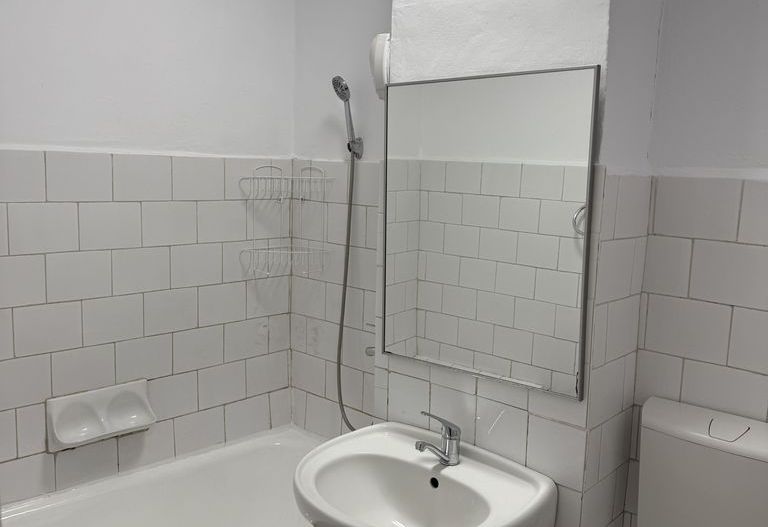 Garsonieră în Brazdă lui Novac - Poză 5