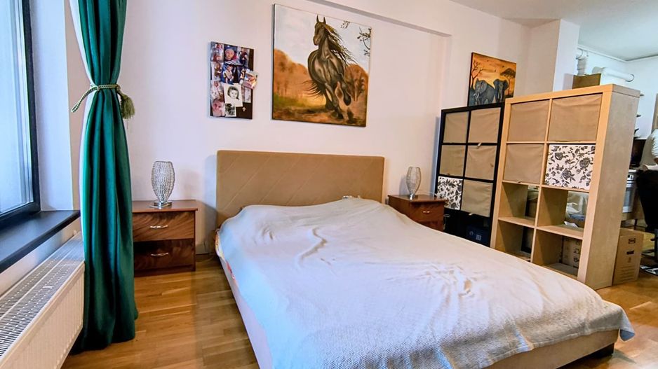 Iancu Nicolae- Gradina Zoologica- Jolie Ville- Loc parcare - Poză 6