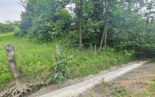 Teren intravilan lângă pădure – 1659 mp,  C.U. P+2E, Vărbilău - Poză 10