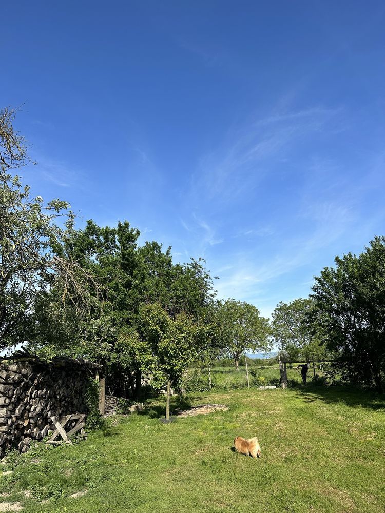 Vand Casa individuala jud SATU MARE - comuna Porumbesti - Poză 6