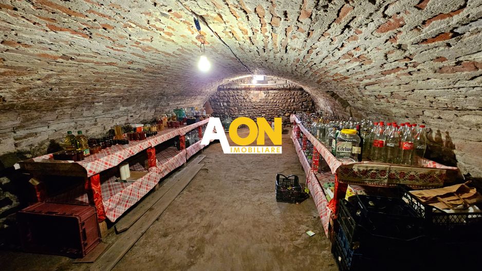 Casa 4 camere, toate utilitatile, 1650 mp teren, Lancram - Poză 17