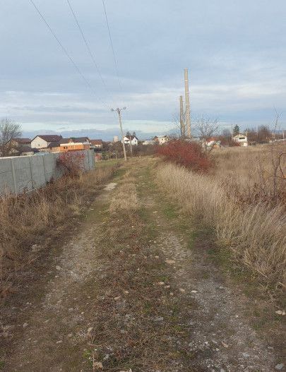 Oferta Teren Bradu - Poză 2