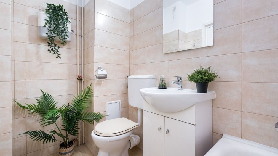 COMISION 0% - Garsoniera luminoasa Bd. Decebal - Piata Alba Iulia - Poză 14