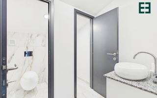 De închiriat - Spațiu birouri open space - Zonă Centrală - Timișoara - Poză 9