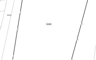 Teren intravilan 14.168 mp – pozitie excelenta la intrarea in Braila - Poză 10
