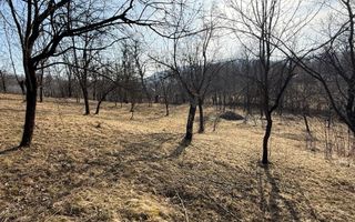 Teren intravilan 2788 mp deschidere 55 ml cu vedere panoramica ! - Poză 5