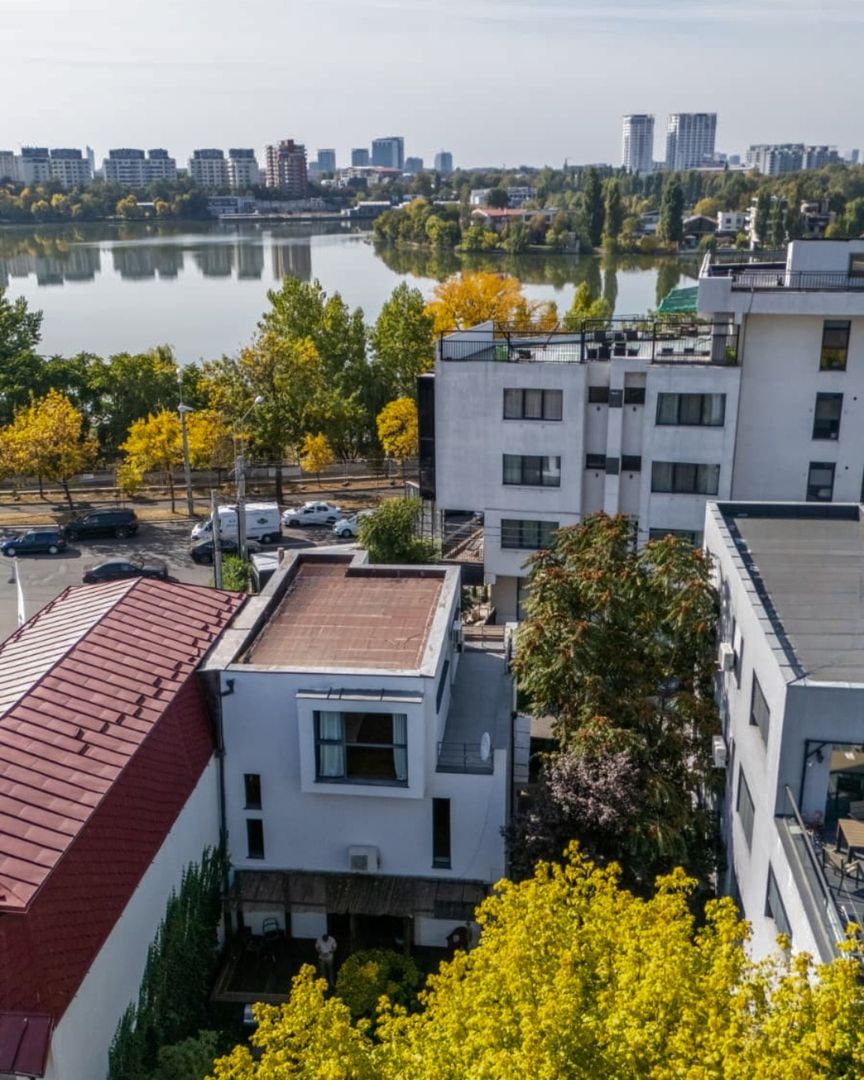 Vila unica de vanzare, gradina matura si vedere la Lac, in zona Tei - Poză 3