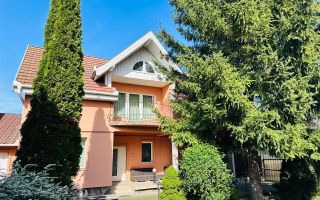 Vila remarcabila+casa boiereasca,in pretios areal de 2.100 mp, Santana de Mures - Poză 4