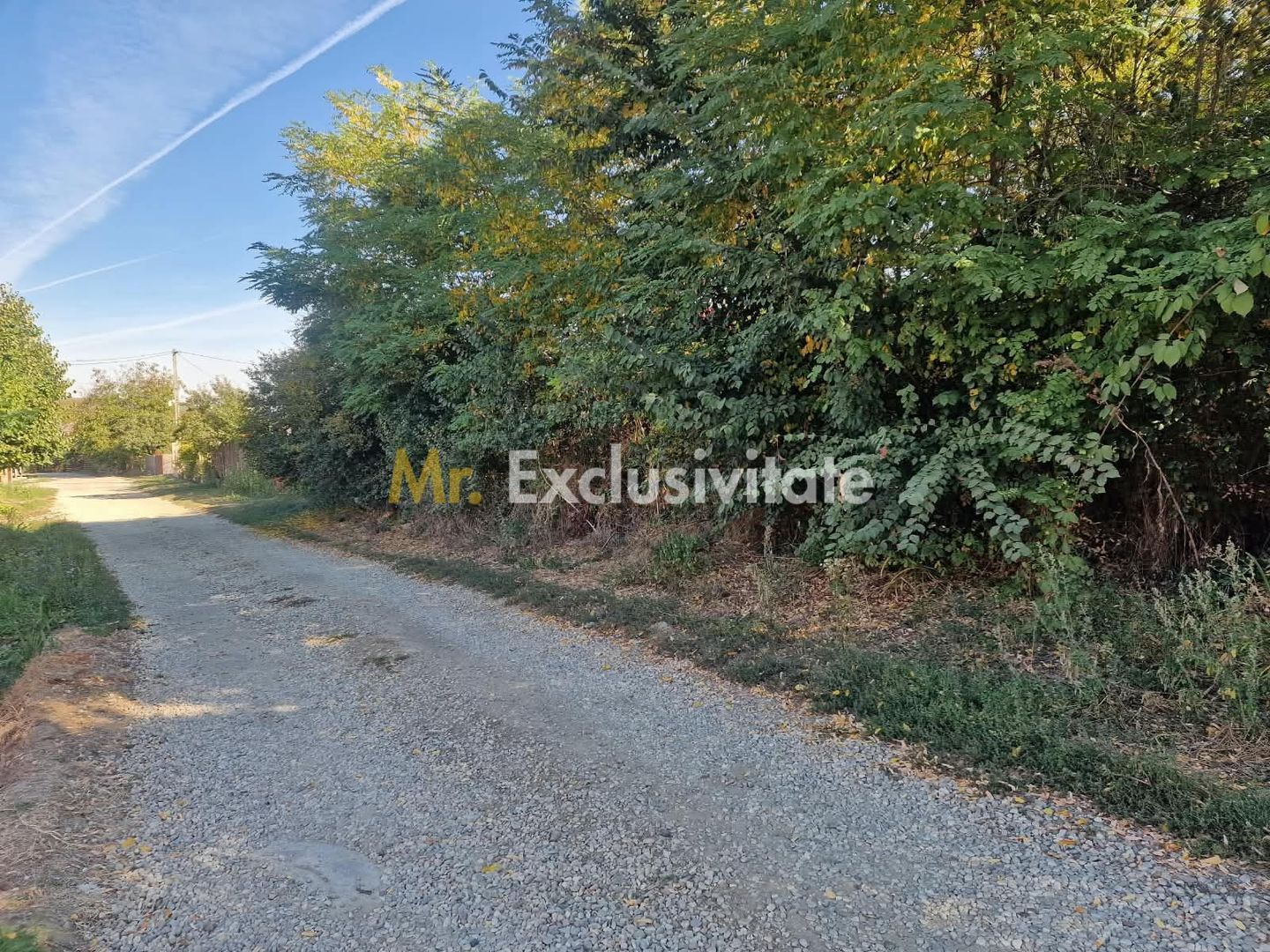 Teren 2121 mp în Topoloveni, - str. Inuri - Poză 9