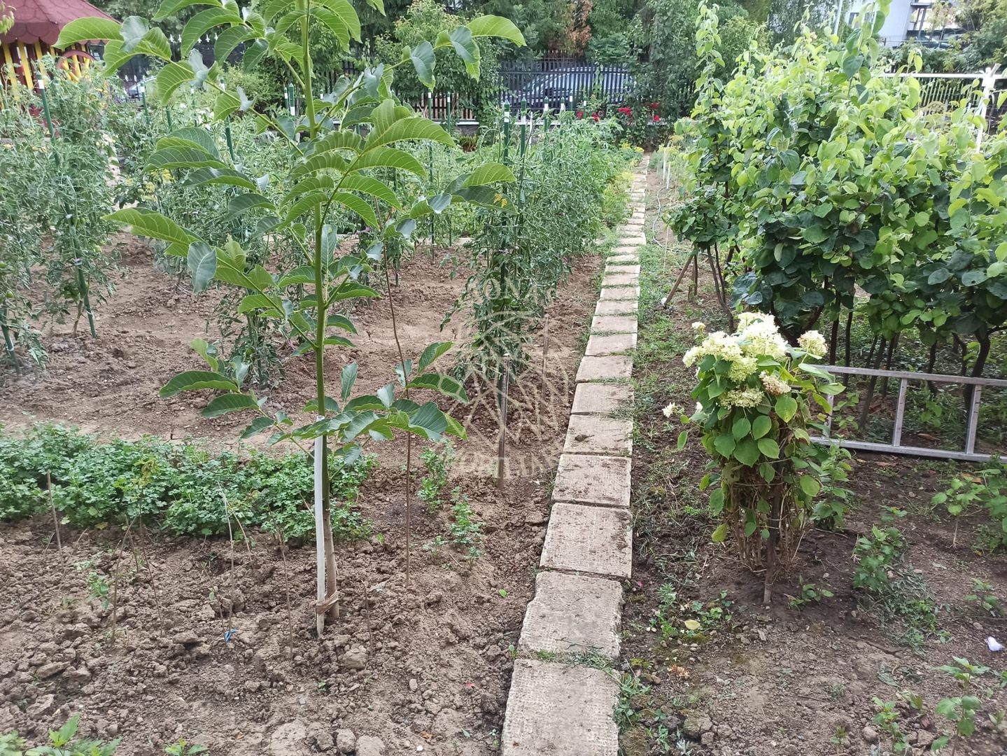 Casa 190 mp-teren 1860 mp-garaj-curte amenajata-Valea Sigmirului - Poză 8